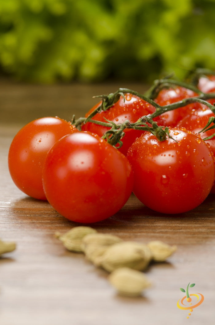 Red cherry tomato seeds from SeedsNow, large indeterminate variety, shown in a close-up image highlighting the seeds.