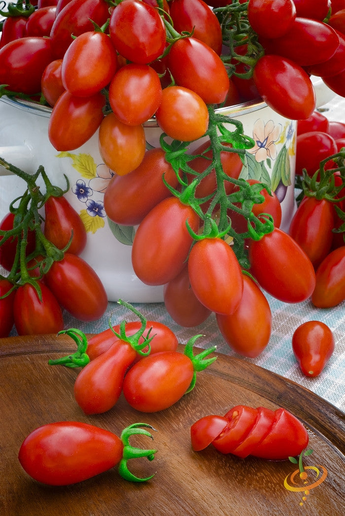 Red pear-shaped indeterminate tomato SeedsNow seed packet, showcasing ripe red tomatoes on the vine.