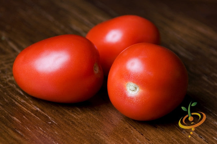 Three ripe Roma tomatoes on a wooden surface highlighting their smooth, red skin and oval shape.