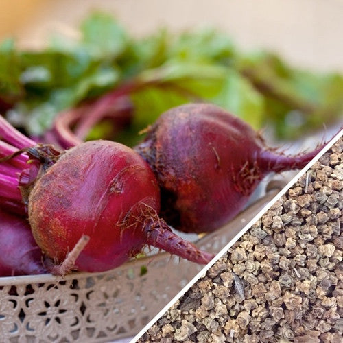 Close-up of fresh Boltardy beets with green leaves and Boltardy beet seeds in a garden setting