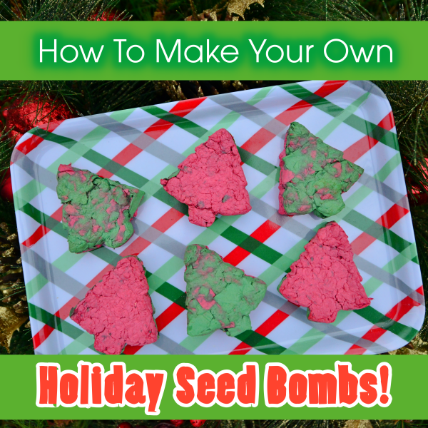 How To Make Your Own Holiday Seed Bombs