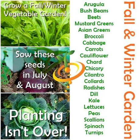 Prepare NOW for a garden in the fall!