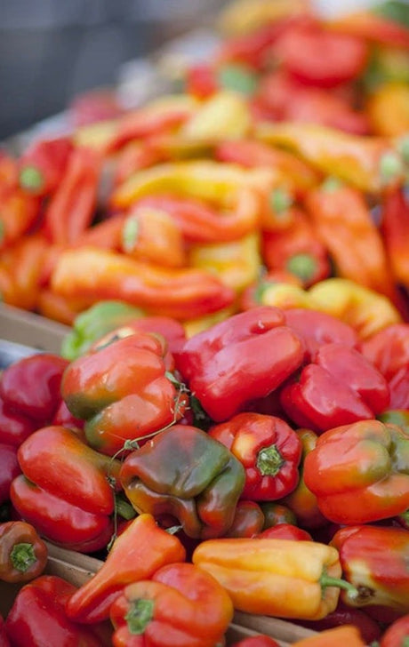 Variety of vibrant sweet pepper seeds for organic garden planting