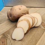 Potato (Early-Season) - Caribe (Organic rounds) *pre-order*