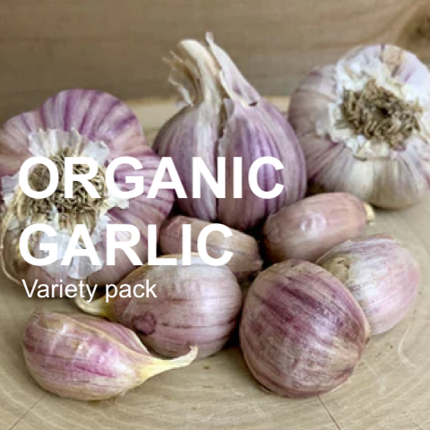 Organic Garlic Garden Variety Pack