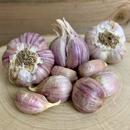 Organic Garlic Garden Variety Pack