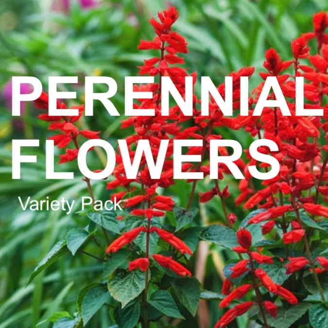 *NEW!* Perennial Flowers Variety Pack