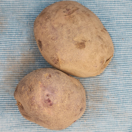 Organic Viking Purple early-season potato seed, round purple potatoes from SeedsNow-Potatoes, ready for planting.