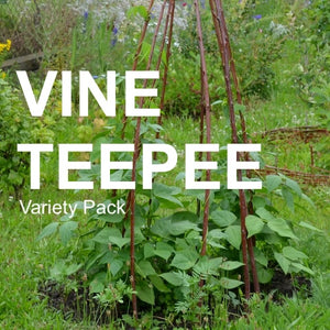 *NEW!* Vine Teepee Variety Pack