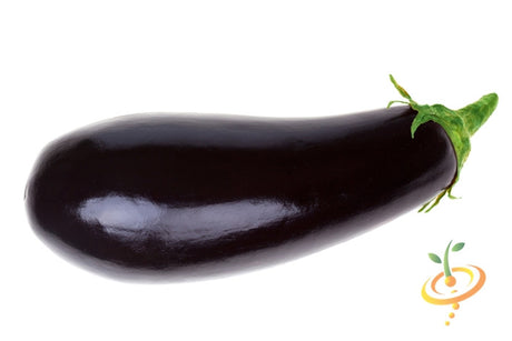 Fresh eggplant (aubergine) from Florida Market seeds by SeedsNow, showing shiny purple fruit on the plant.