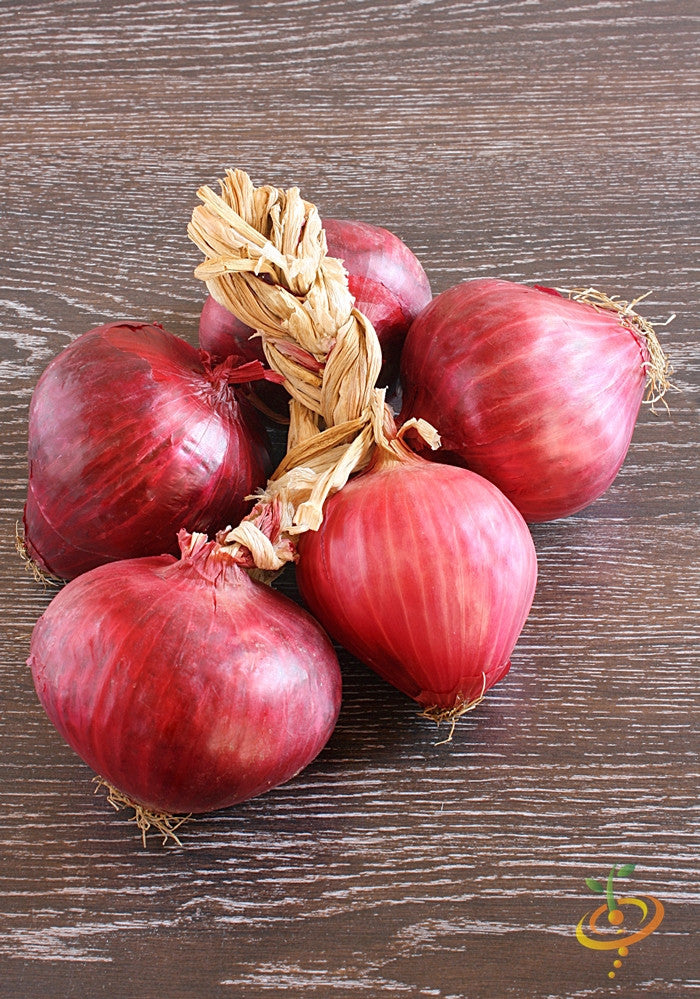 Onion - Red Burgundy (Short Day).