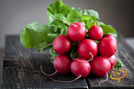 Fresh red radishes from SeedsNow Champion seeds, showcasing vibrant root vegetables ready for harvest.