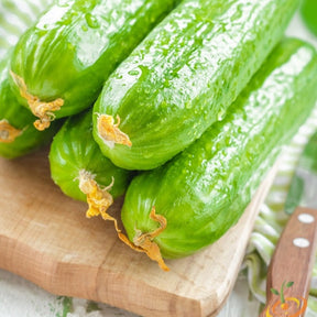 Close-up of fresh cucumber Muncher seeds from SeedsNow, showing green seeds with a smooth, shiny surface.