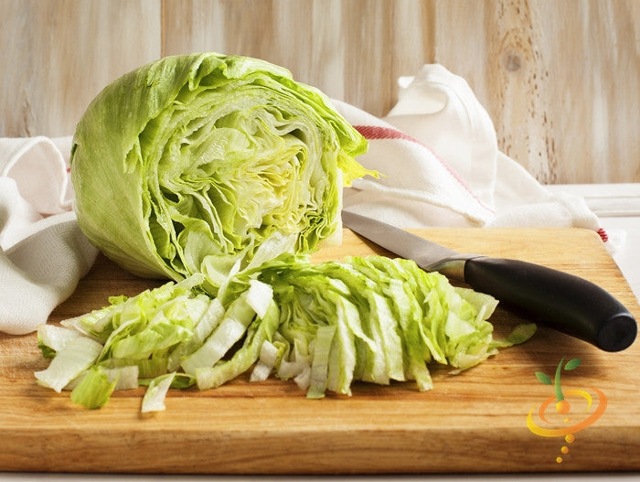 Lettuce - Iceberg.