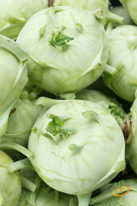 White kohlrabi Delicatesse with green stems and leaves, fresh and healthy, from SeedsNow.