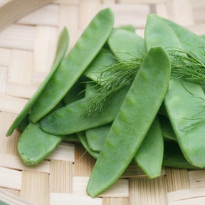 Snow pea seeds from SeedsNow, showing vibrant green pea pods and seeds ready for planting.