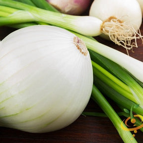 Spanish white sweet onion seeds from SeedsNow, showing fresh seed packets for planting long-day onion varieties.