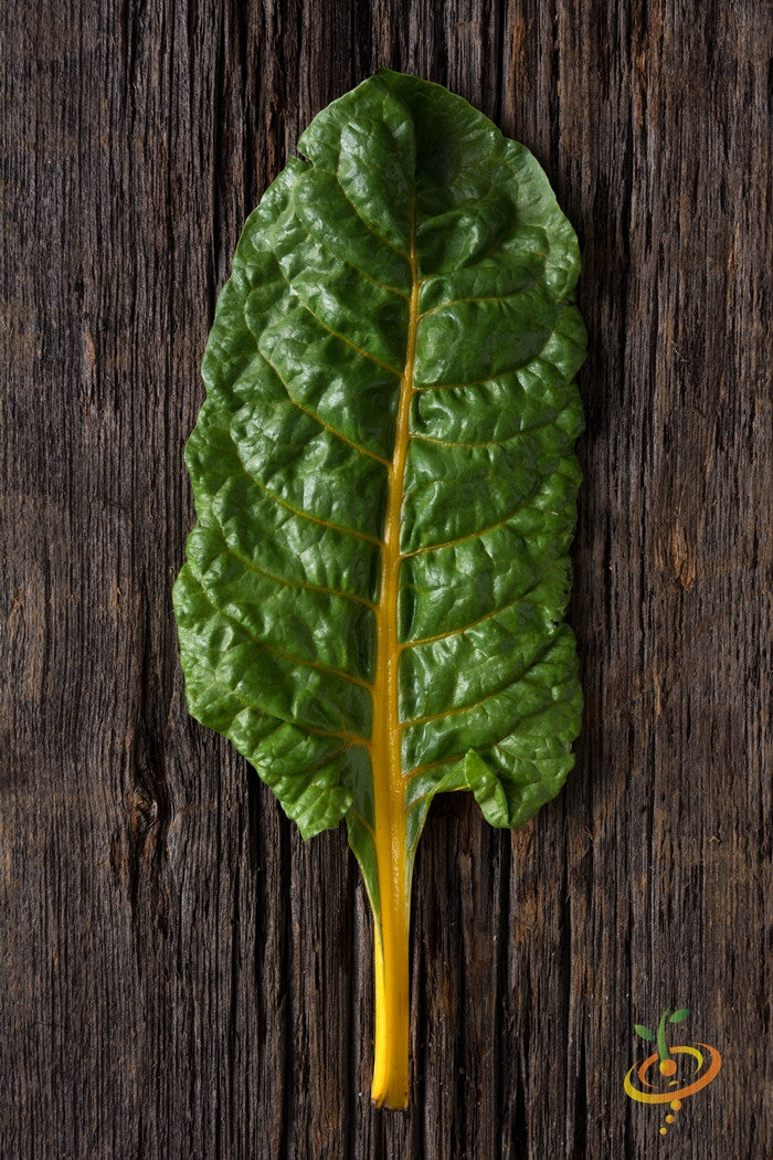 Swiss Chard - Orange.