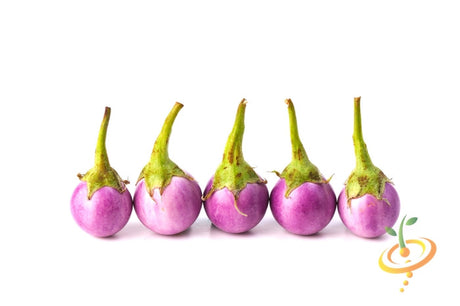 Round mauve eggplant (aubergine) seeds from SeedsNow, showing mature seeds with purple and brown hues.