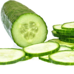 Fresh Tendergreen Burpless cucumber from SeedsNow, showing long, green cucumber with smooth skin on a white background.