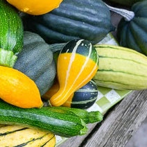 Small bi-color pear-shaped gourd with seeds, shown in a natural setting, from SeedsNow.