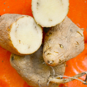 Organic Russian Banana fingerling potato seed from SeedsNow-Potatoes, showing elongated yellow-tan heirloom potatoes with smooth skin.