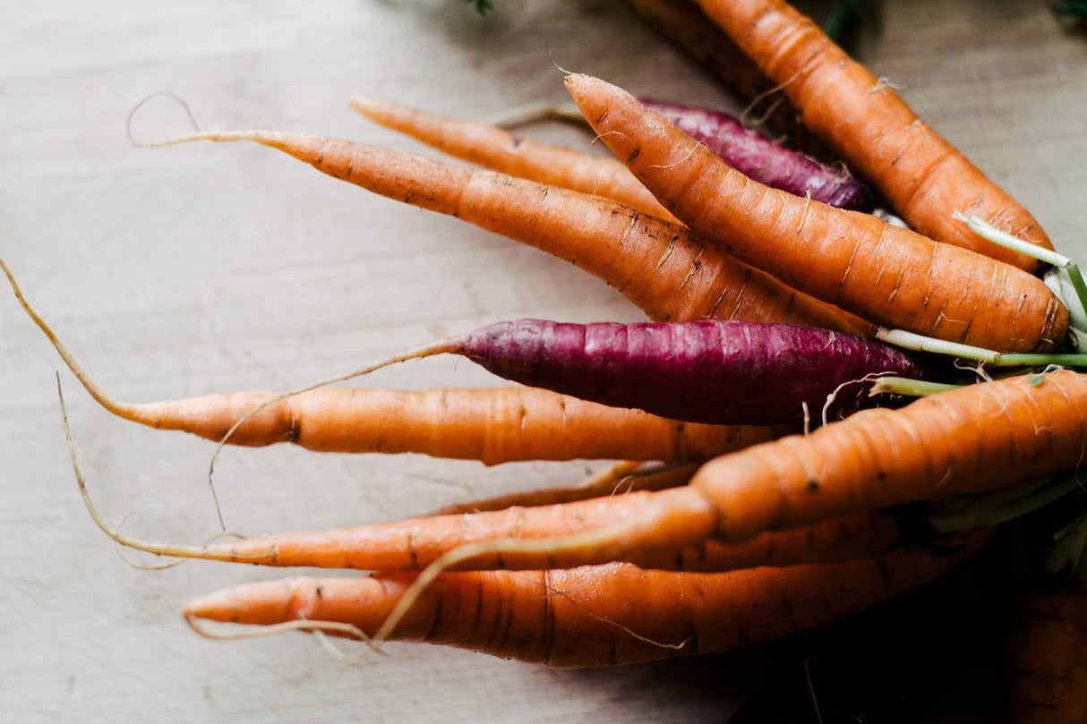 Carrot - Heritage Rainbow Blend - SeedsNow.com