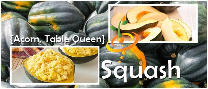 Squash (Winter) - Acorn Table Queen.