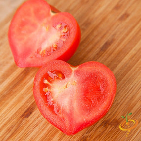 Pink Oxheart indeterminate tomato seeds from SeedsNow, showing vibrant pink tomatoes with heart-shaped fruit on the plant