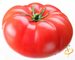 Heirloom Caribe Tomato Seeds 100% Non-GMO